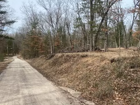 4152 E Creek Wood, Chase, MI 49623 photo 3