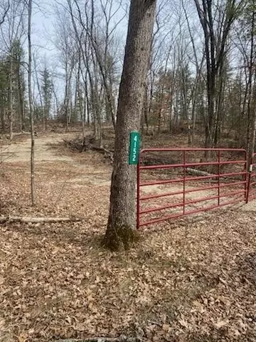 4152 E Creek Wood, Chase, MI 49623