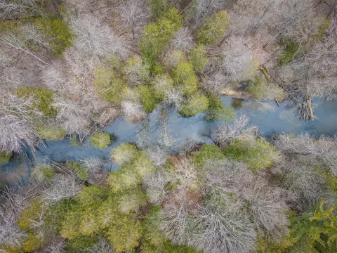 Thorsen River, East Jordan, MI 49727