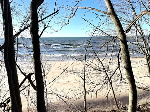 Abc Stevens, Lakeside, MI 49116 photo 2