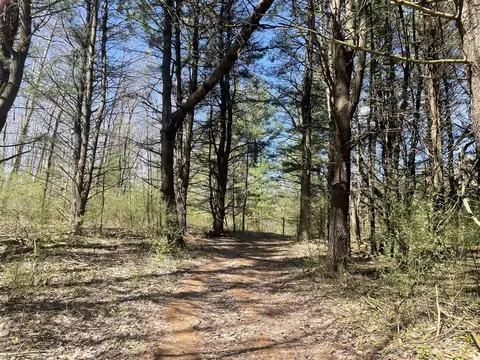 Hannah Road #4, Remus, MI 49340 photo 10