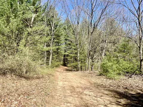 Hannah Road #4, Remus, MI 49340 photo 8