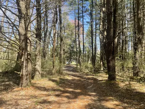 Hannah Road #4, Remus, MI 49340 photo 9
