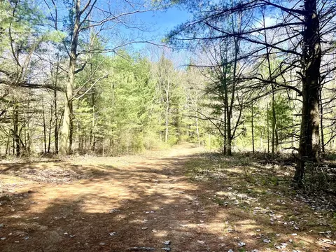 Hannah Road #4, Remus, MI 49340 photo 6