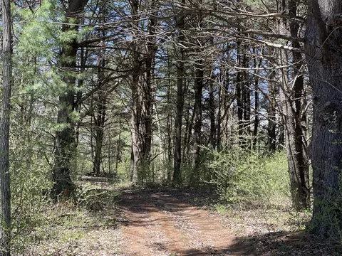 Hannah Road #4, Remus, MI 49340 photo 7