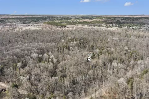 View/Area - 8573 E Anne, Walkerville, MI 49459 photo 10 of 13