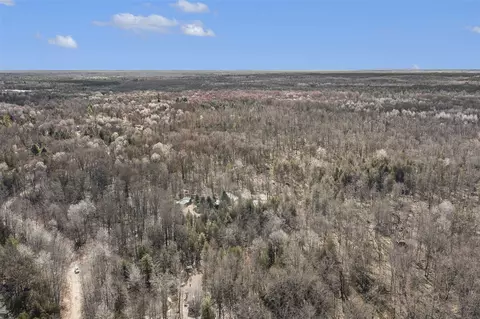 View/Area - 8573 E Anne, Walkerville, MI 49459 photo 8 of 13