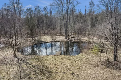 View/Area - 8573 E Anne, Walkerville, MI 49459 photo 4 of 13