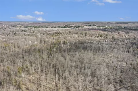 View/Area - 8573 E Anne, Walkerville, MI 49459 photo 5 of 13