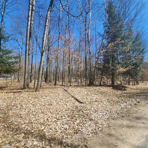 9791 Fawn Rdg, Canadian Lakes, MI 49346