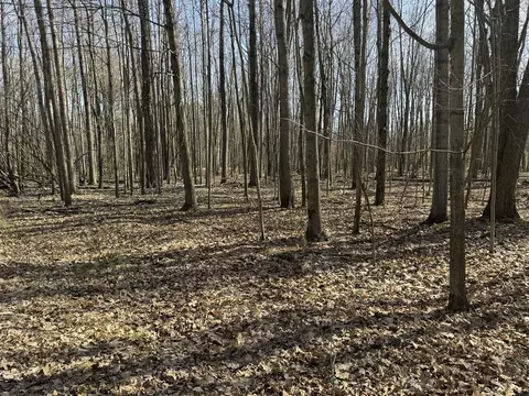 6060 Deerfield, Canadian Lakes, MI 49346