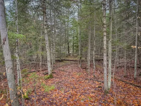 V/l E Long Lake, Harrison, MI 48625 photo 30