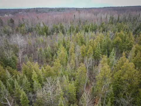 V/l E Long Lake, Harrison, MI 48625 photo 12