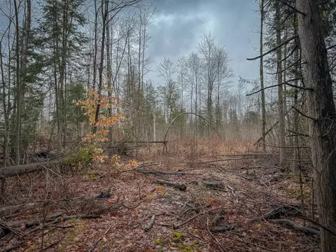 V/l E Long Lake, Harrison, MI 48625 photo 24