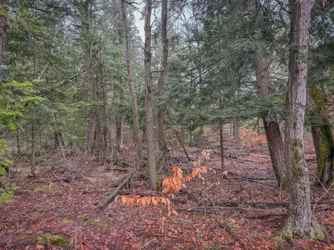 V/l E Long Lake, Harrison, MI 48625 photo 23