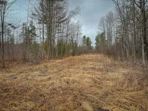 V/l E Long Lake, Harrison, MI 48625 photo 21