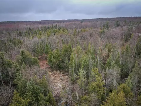 V/l E Long Lake, Harrison, MI 48625 photo 10