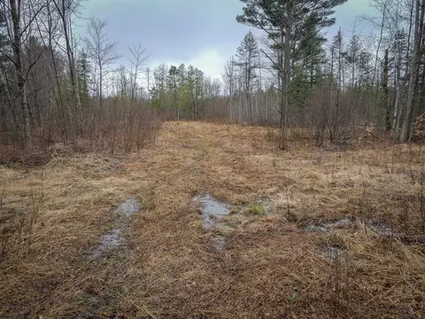 V/l E Long Lake, Harrison, MI 48625 photo 5