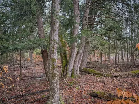 V/l E Long Lake, Harrison, MI 48625 photo 25