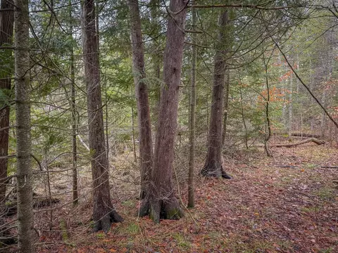 V/l E Long Lake, Harrison, MI 48625 photo 32