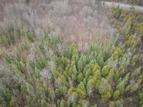 V/l E Long Lake, Harrison, MI 48625 photo 13