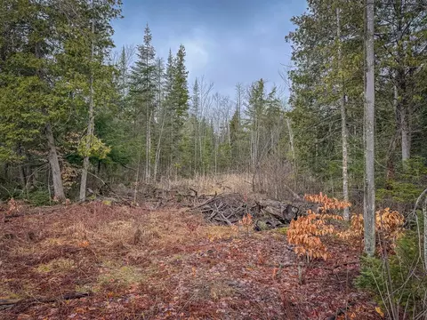V/l E Long Lake, Harrison, MI 48625 photo 28