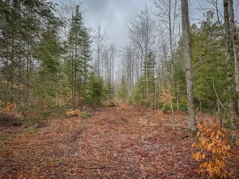 V/l E Long Lake, Harrison, MI 48625 photo 27