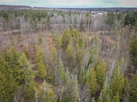 V/l E Long Lake, Harrison, MI 48625 photo 11