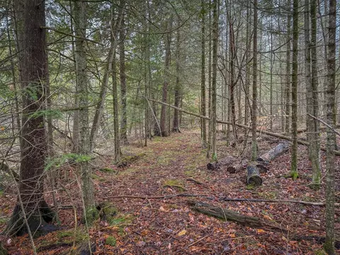 V/l E Long Lake, Harrison, MI 48625 photo 31