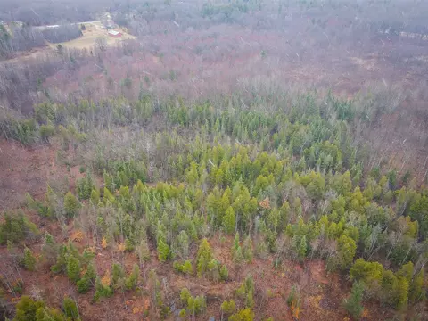 V/l E Long Lake, Harrison, MI 48625 photo 3