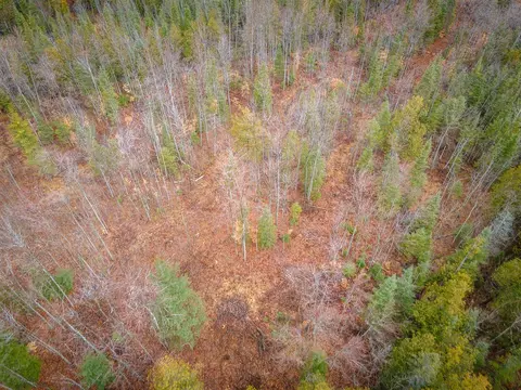 V/l E Long Lake, Harrison, MI 48625 photo 17