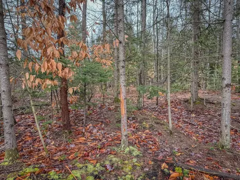 V/l E Long Lake, Harrison, MI 48625 photo 29