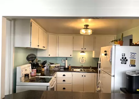 Kitchen - 715 W Michigan #305, Jackson, MI 49201 photo 2 of 2