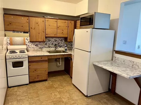 311 Smith, Crystal, MI 48818 photo 15