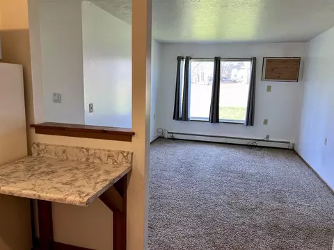 311 Smith, Crystal, MI 48818 photo 16