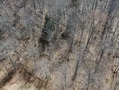 Silver Vista, Mears, MI 49436 photo 39