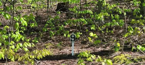 Silver Vista, Mears, MI 49436