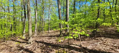 Silver Vista, Mears, MI 49436 photo 13