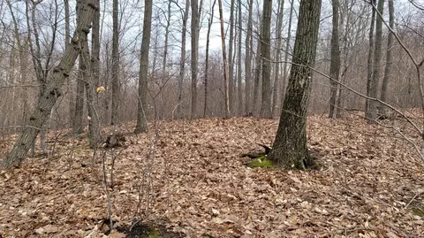 Silver Vista, Mears, MI 49436 photo 47