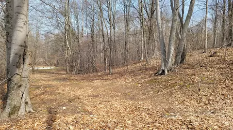 Silver Vista, Mears, MI 49436 photo 21