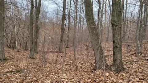Silver Vista, Mears, MI 49436 photo 26