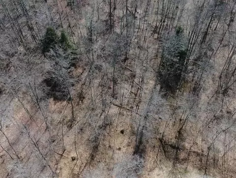 Silver Vista, Mears, MI 49436 photo 37