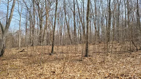 Silver Vista, Mears, MI 49436 photo 18