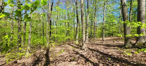 Silver Vista, Mears, MI 49436 photo 17