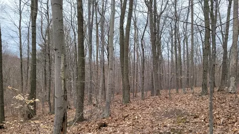 Silver Vista, Mears, MI 49436 photo 29
