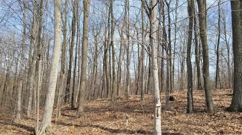 Silver Vista, Mears, MI 49436 photo 33