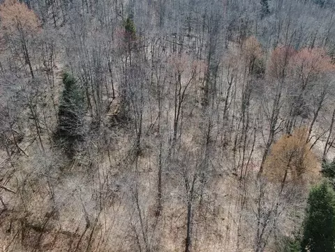 Silver Vista, Mears, MI 49436 photo 42
