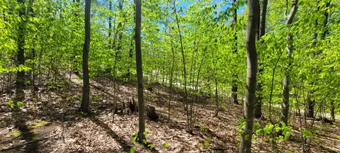 Silver Vista, Mears, MI 49436 photo 2