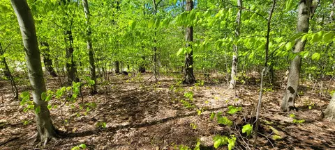 Silver Vista, Mears, MI 49436 photo 3