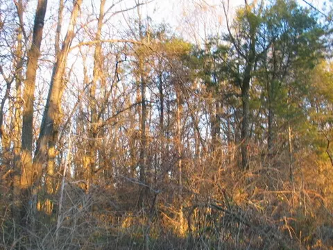 11915 Waldron, Jerome, MI 49249